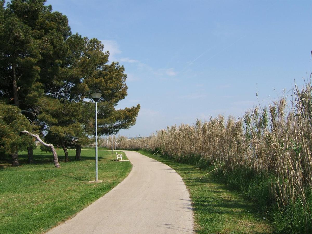 Gianna A4+2 Apartment Novigrad Istria Exterior foto